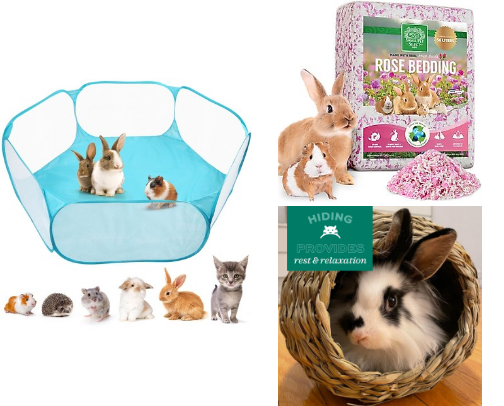 Make Their Space Cozy & Cute🐾Top-rated pet décor and comfort finds they’ll actually use! cover photo collage