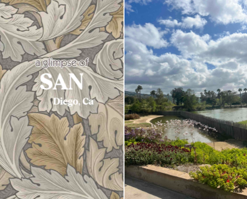 When in San Diego? cover photo collage