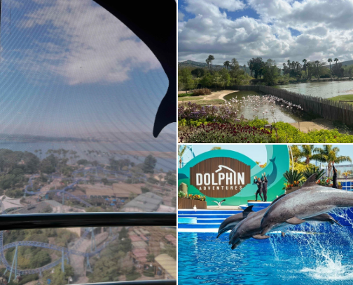 When in San Diego? cover photo collage