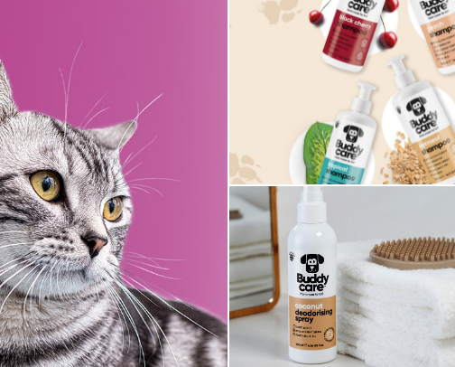 Pet Must-Haves I Recommend 🐾 cover photo collage