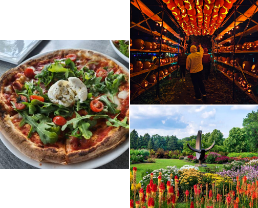 Things To Do In the Northwest Suburbs cover photo collage