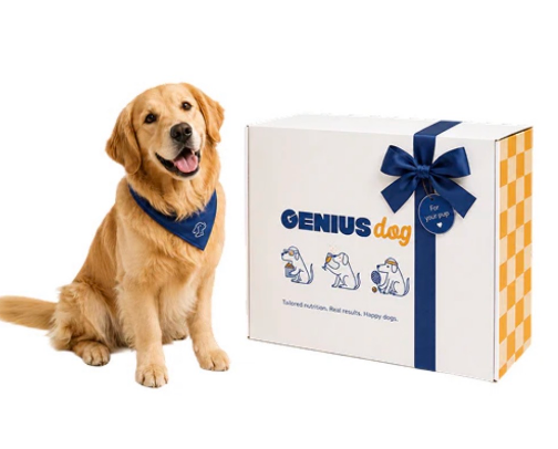 Genius Dog cover photo collage