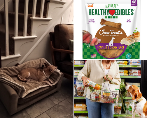 It's a Dog's Life cover photo collage