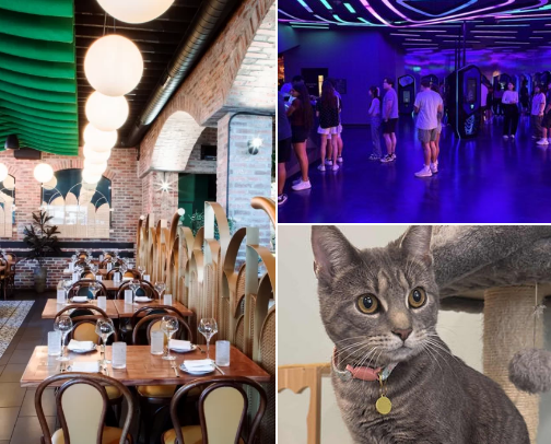 things to do in NoVA/DC cover photo collage