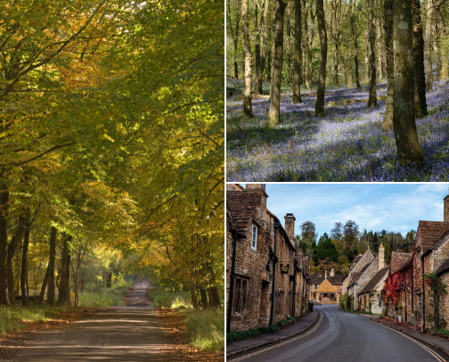 Wiltshire Hidden Gems! cover photo collage