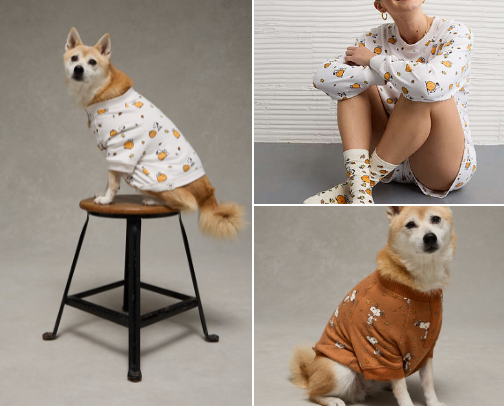 🍁🐾 Dogs love recs too! 🐾🍁 Fall edition. cover photo collage