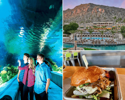 Scottsdale Recs cover photo collage