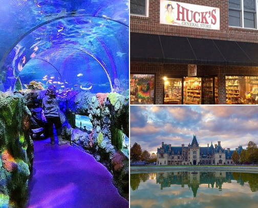 Georgia’s Local Gems & Hidden Spots 🌟 cover photo collage