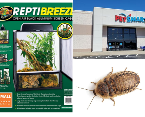 Pets cover photo collage