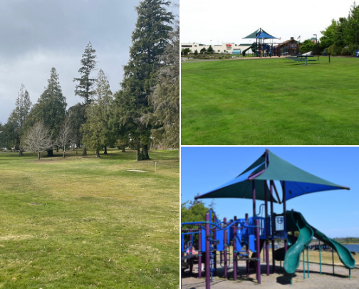 What to do in Grays Harbor,WA cover photo collage