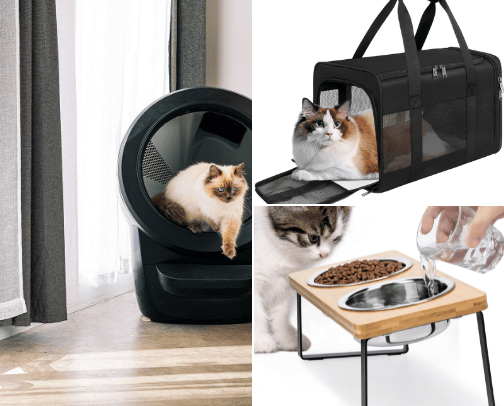 My Furry Friends Favorite Things cover photo collage