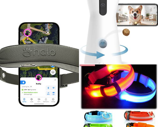 🐕 Essential Dog Owner Gear: Ultimate Guide for Health & Safety cover photo collage