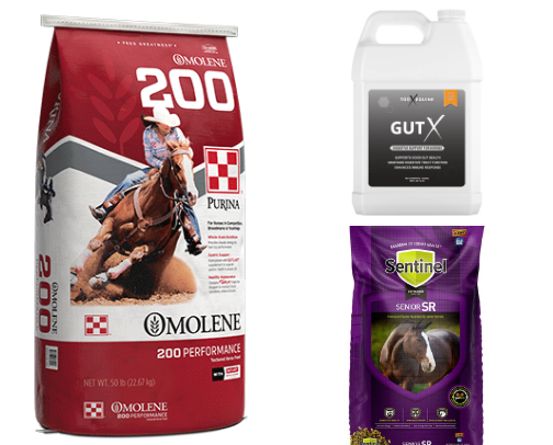 Fav supplements and feeds for my horses! 🐎 cover photo collage
