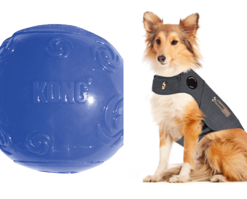Dog toys and yummies cover photo collage