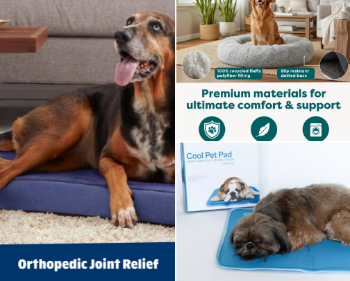 Pet Parent Must-Haves — 20 Finds Your Dog or Cat Will Actually Love cover photo collage