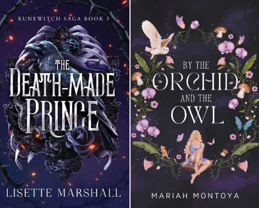 My Honest 5⭐️ Romantasy Recommendations With the Tropes You Actually Want 📖 cover photo collage