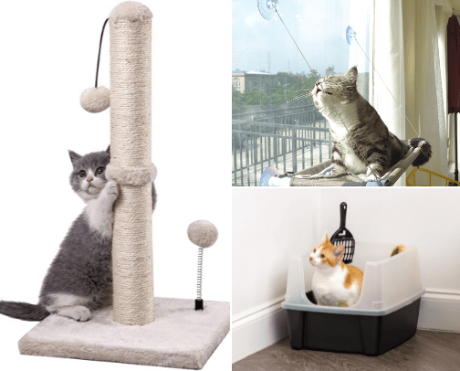 Purrfect Picks cover photo collage