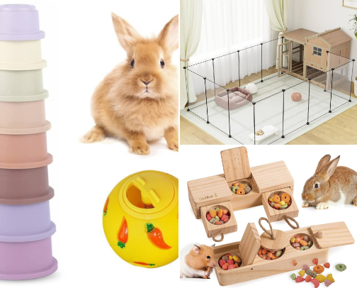 To all Rabbit owners!! cover photo collage