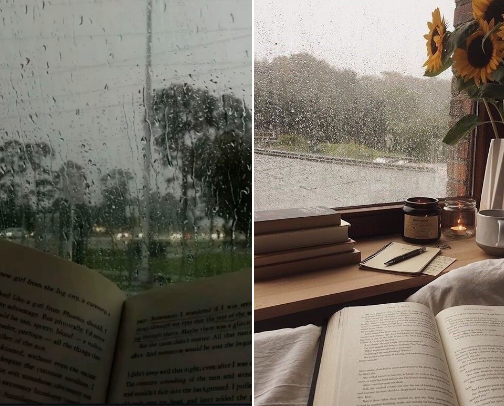 Forecast: 100% Chance of Reading cover photo collage