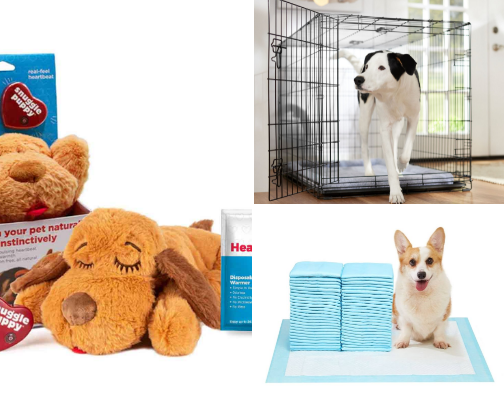 Top trending dog essentials: must haves for puppies and adult dogs cover photo collage