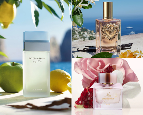 Perfume recs | FAVORITE LONG LASTING PERFUMES✨ cover photo collage