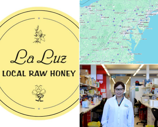 🐝 Bees cover photo collage