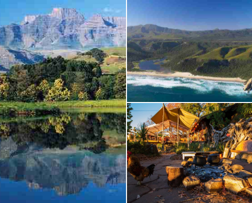 If you go to SOUTH AFRICA you have to: cover photo collage
