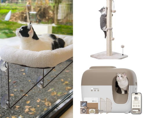 boujee cat mom essentials cover photo collage