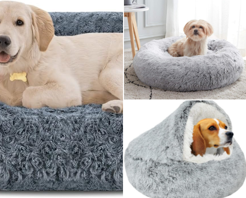 Cozy & Stylish Dog Beds cover photo collage