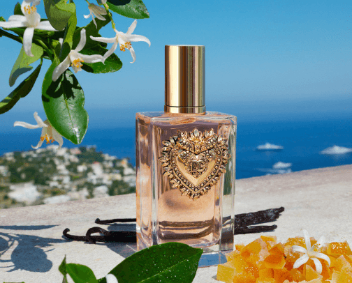 Perfumes that just make sense cover photo collage