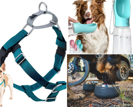 🐶 Dog Essentials: Everyday Must-Haves for Life on the Go cover photo collage