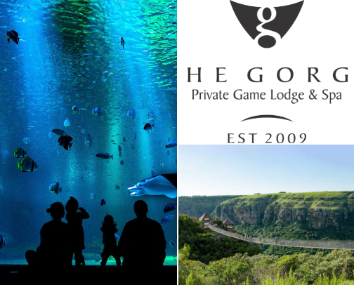 Getaways for the Festive Season cover photo collage