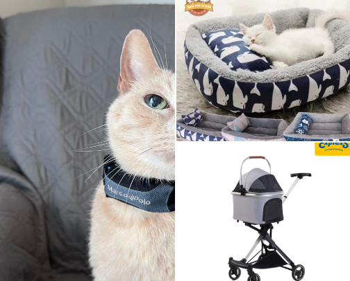 Pets cover photo collage
