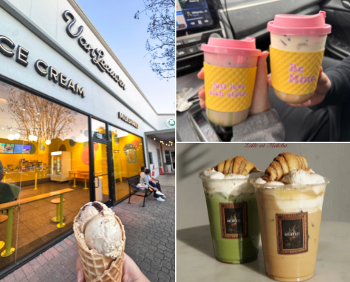 Dallas and surrounding area recs cover photo collage