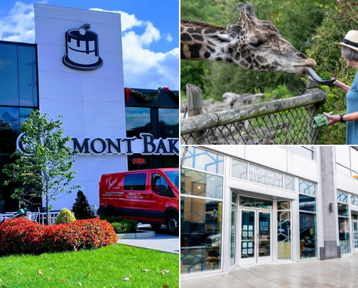 Activities To Do In Pittsburgh PA cover photo collage