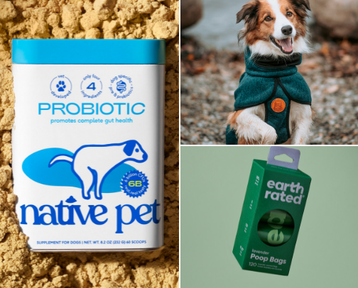 🐶 doggy recs! cover photo collage