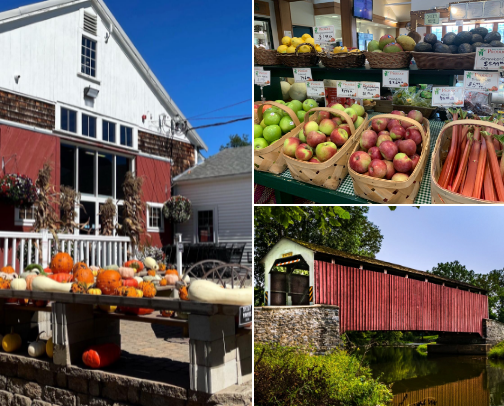boston suburb activities cover photo collage