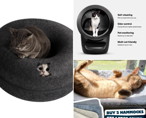 Kitten Items cover photo collage