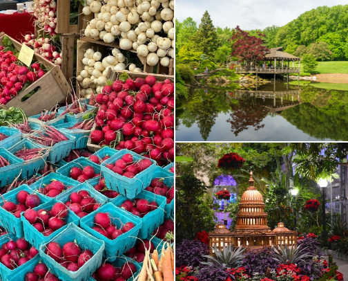 My new list cover photo collage
