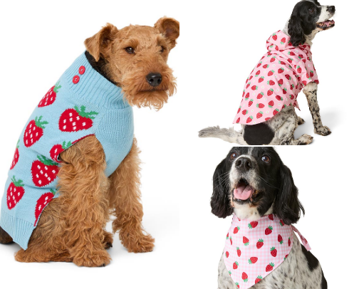 A dogs gotta look fabulous! cover photo collage