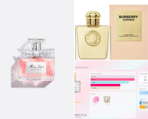 Perfumes I Live By! cover photo collage