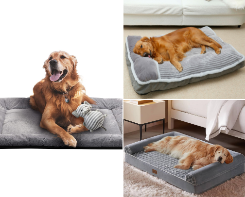 Dog bed favorites cover photo collage