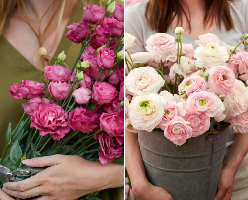 Bloom & Gather: Favorite Flowers from My Cutting Garden cover photo collage