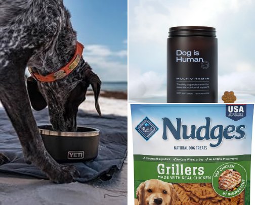 My dog’s favorites all in one place! cover photo collage