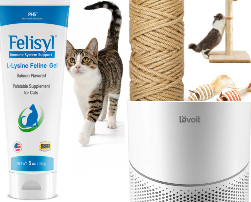 Amazon Wish List for Our Special-Needs Cats Sanctuary cover photo collage