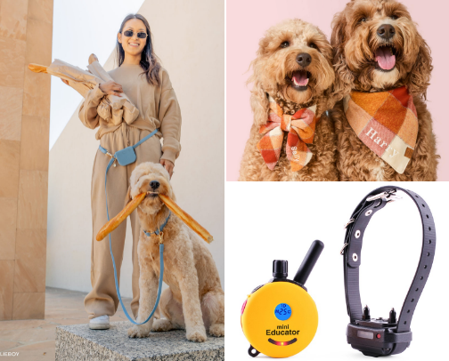 🐶 Leashes / Collars cover photo collage