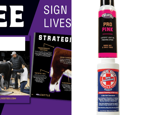 Sheep Show Supplies cover photo collage