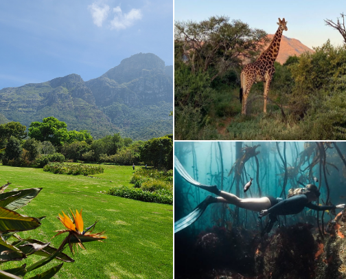 Things to do in Cape Town cover photo collage