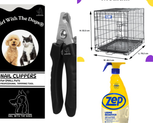 🩺 Things Every New Pet Owner Actually Needs cover photo collage