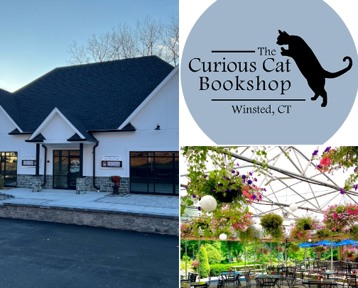 My top CT recs cover photo collage